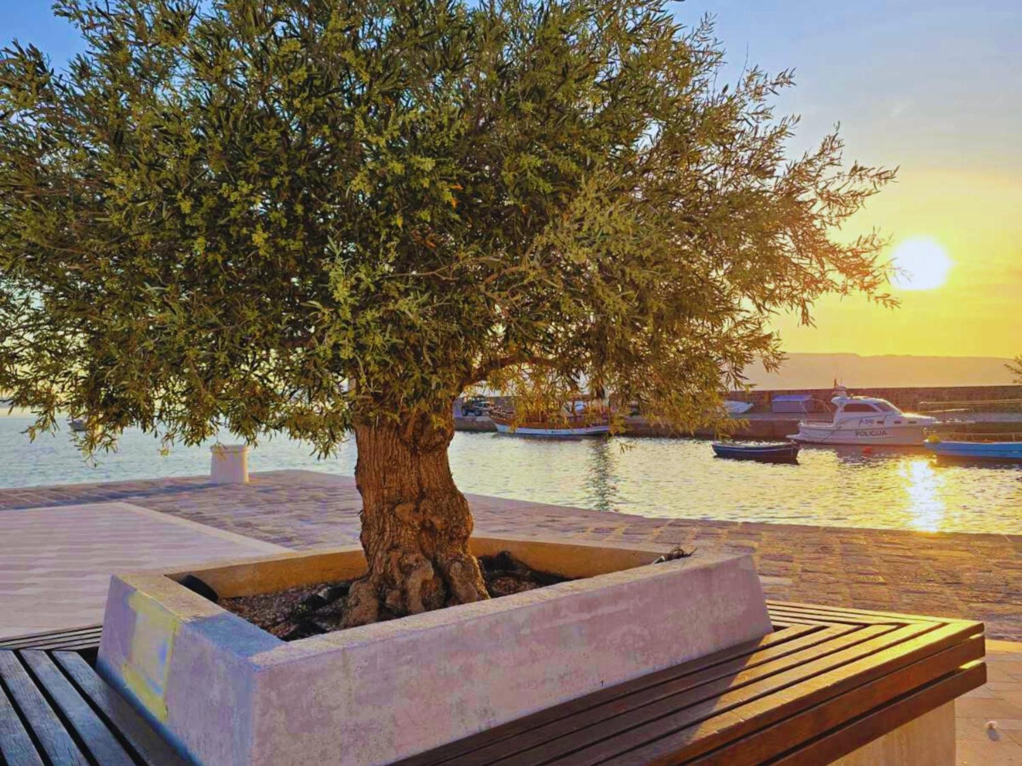 Lovely Apartments Senj Senj  Luaran gambar